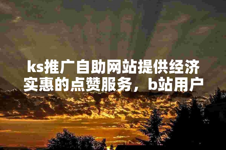 ks推广自助网站提供经济实惠的点赞服务，b站用户可通过24小时下单平台轻松获得支持。