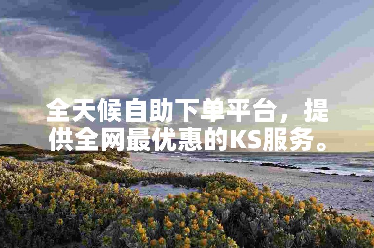 全天候自助下单平台，提供全网最优惠的KS服务。