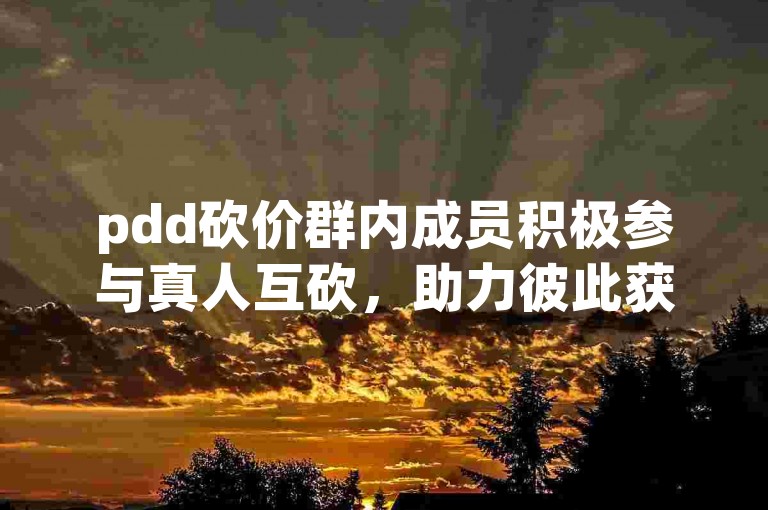 pdd砍价群内成员积极参与真人互砍，助力彼此获取优惠。