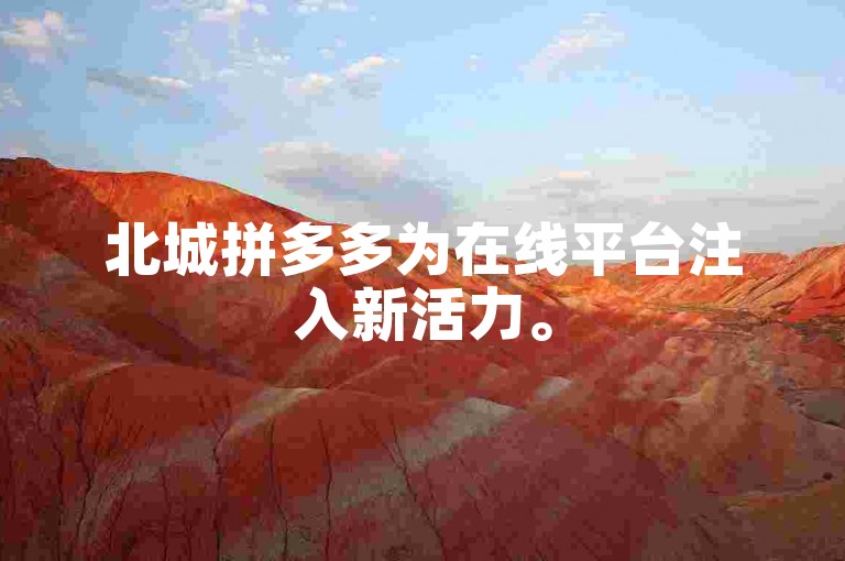 北城拼多多为在线平台注入新活力。