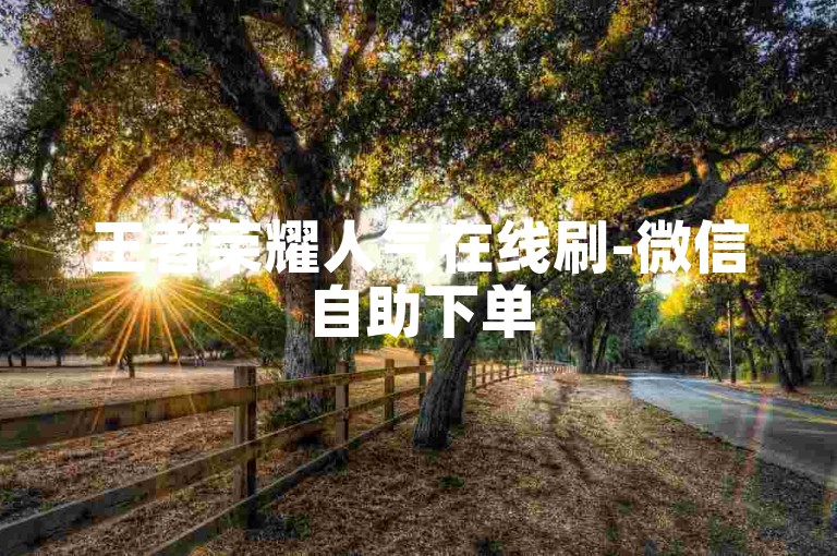 王者荣耀人气在线刷-微信自助下单
