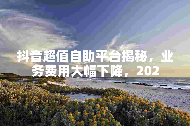 抖音超值自助平台揭秘，业务费用大幅下降，2025年必学！