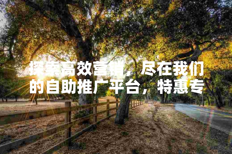 探索高效营销，尽在我们的自助推广平台，特惠专区让你零成本启动，仅需一毛钱即可开启推广之旅。