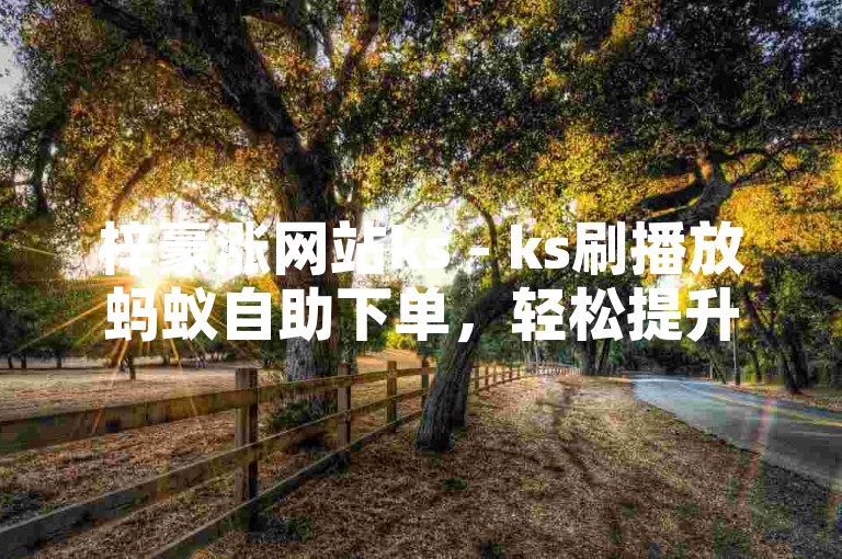 梓豪涨网站ks - ks刷播放蚂蚁自助下单，轻松提升视频热度。