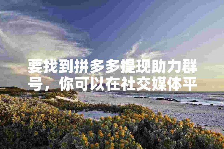 要找到拼多多提现助力群号，你可以在社交媒体平台、论坛或专门的拼多多互助社区中搜索相关信息。