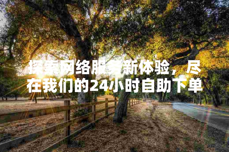 探索网络服务新体验，尽在我们的24小时自助下单平台，提供极速便捷的社交媒体增值服务，享受市场领先的超低价格。