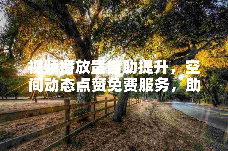 视频播放量自助提升，空间动态点赞免费服务，助力内容推广无需花费。