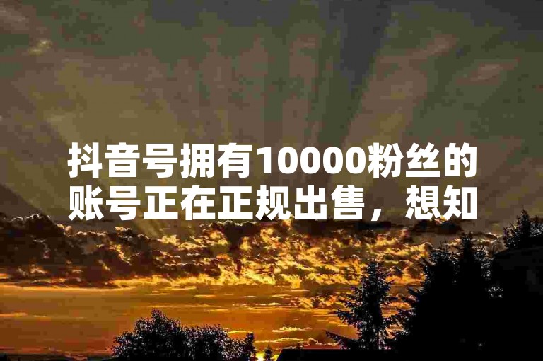 抖音号拥有10000粉丝的账号正在正规出售，想知道如何快速吸引流量吗？尝试直播账号推广，立即增加1000粉丝。