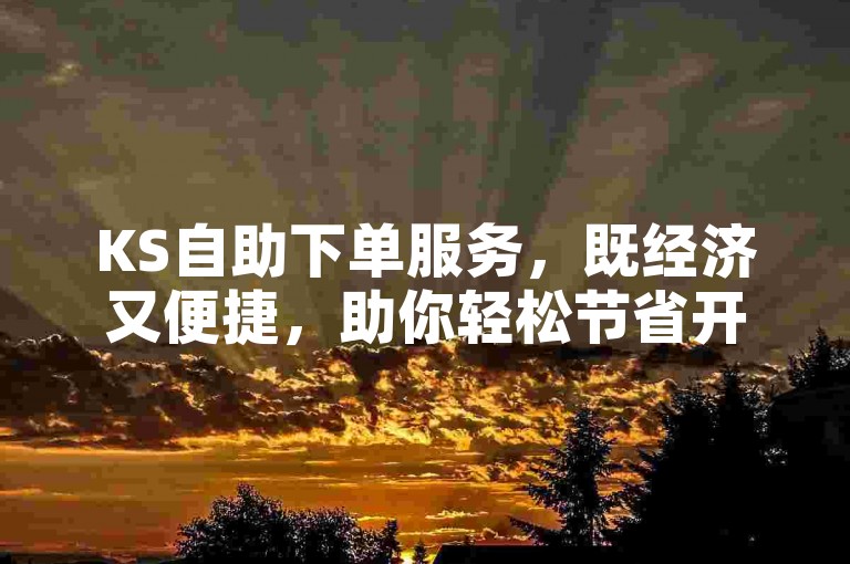 KS自助下单服务，既经济又便捷，助你轻松节省开支。
