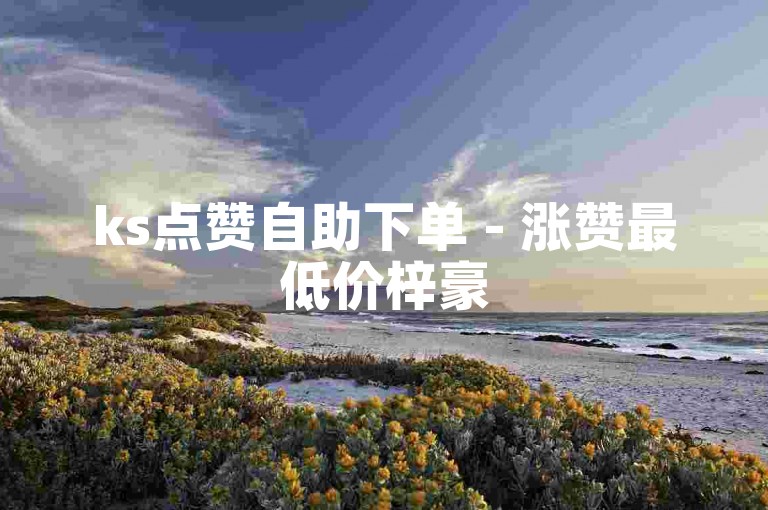 ks点赞自助下单 - 涨赞最低价梓豪