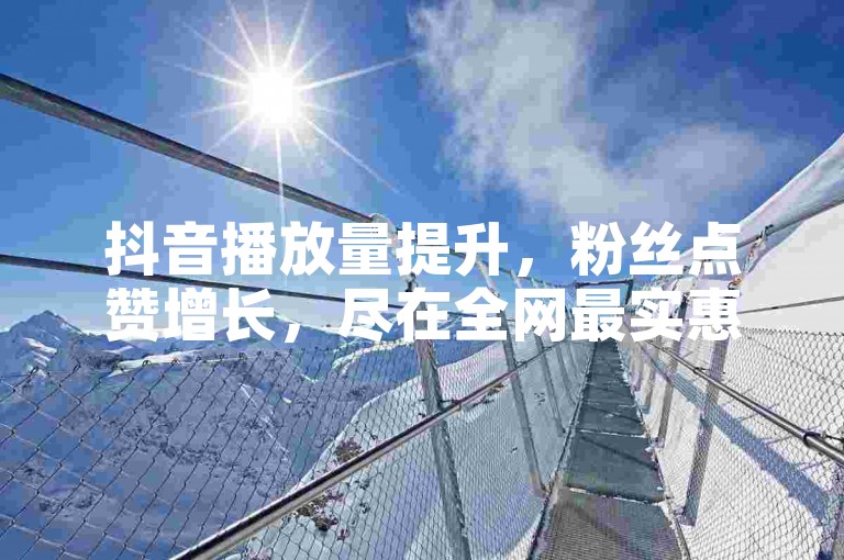 抖音播放量提升，粉丝点赞增长，尽在全网最实惠的自助下单平台网站。