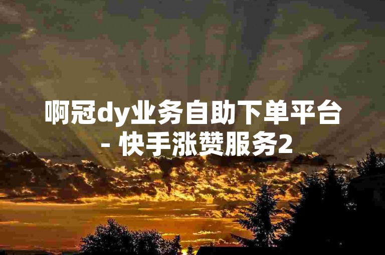 啊冠dy业务自助下单平台 - 快手涨赞服务2