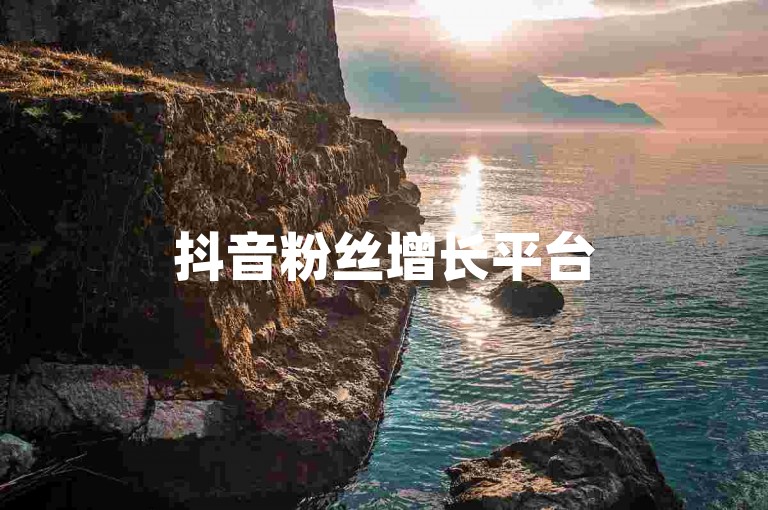 抖音粉丝增长平台