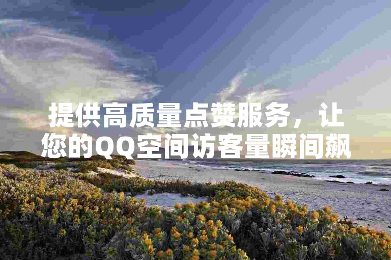 提供高质量点赞服务，让您的QQ空间访客量瞬间飙升至10万，打造热门社交空间。