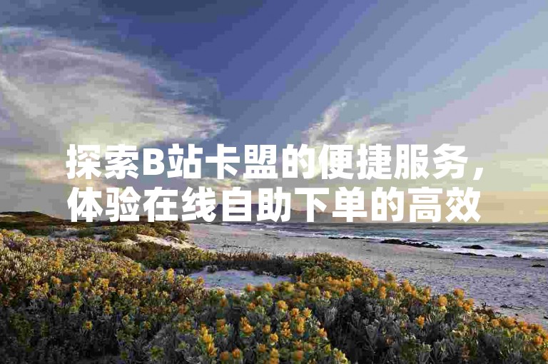 探索B站卡盟的便捷服务，体验在线自助下单的高效流程。