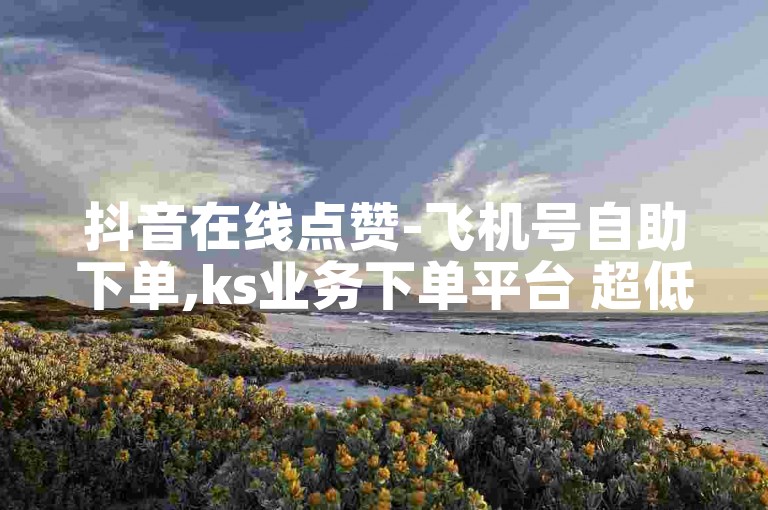 抖音在线点赞-飞机号自助下单,ks业务下单平台 超低价