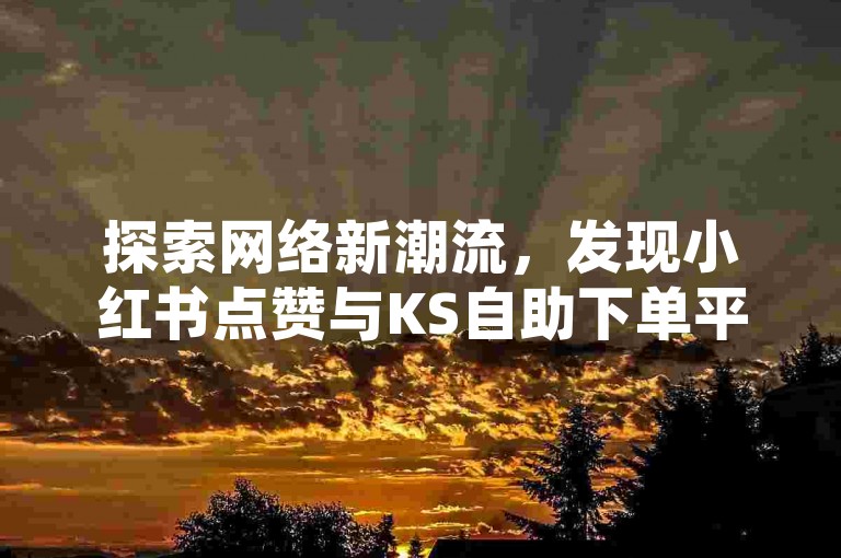 探索网络新潮流，发现小红书点赞与KS自助下单平台的便捷服务，让粉丝增长变得轻松又经济。