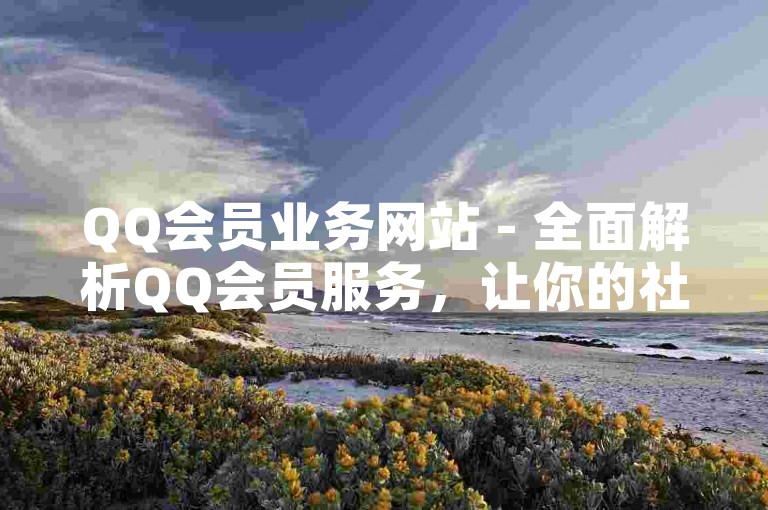 QQ会员业务网站 - 全面解析QQ会员服务，让你的社交互动更加丰富多彩！