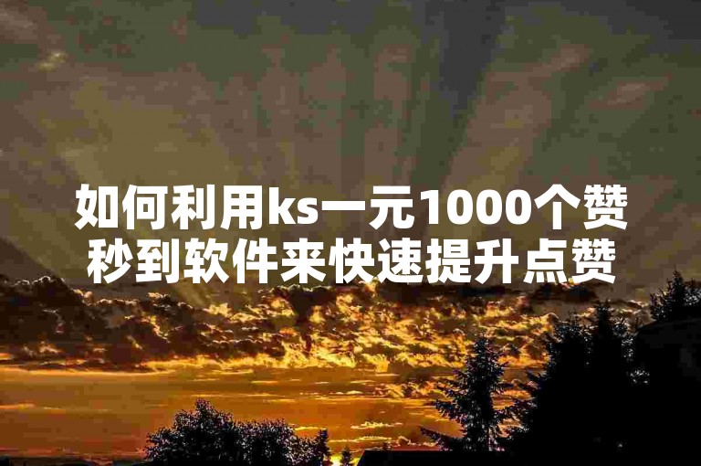 如何利用ks一元1000个赞秒到软件来快速提升点赞数？