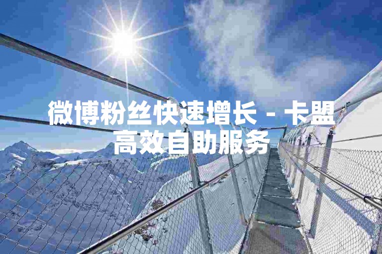 微博粉丝快速增长 - 卡盟高效自助服务