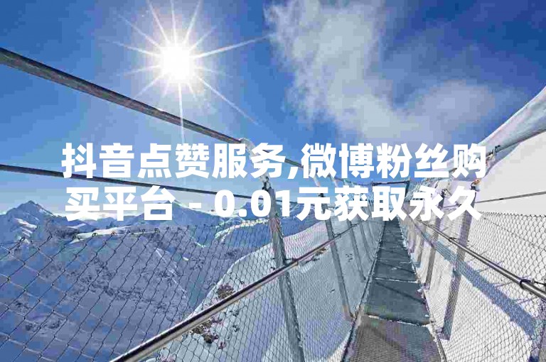 抖音点赞服务,微博粉丝购买平台 - 0.01元获取永久VIP会员资格 - 视频号流量推广工具助力成长