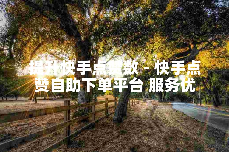 提升快手点赞数 - 快手点赞自助下单平台 服务优