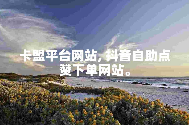 卡盟平台网站, 抖音自助点赞下单网站。