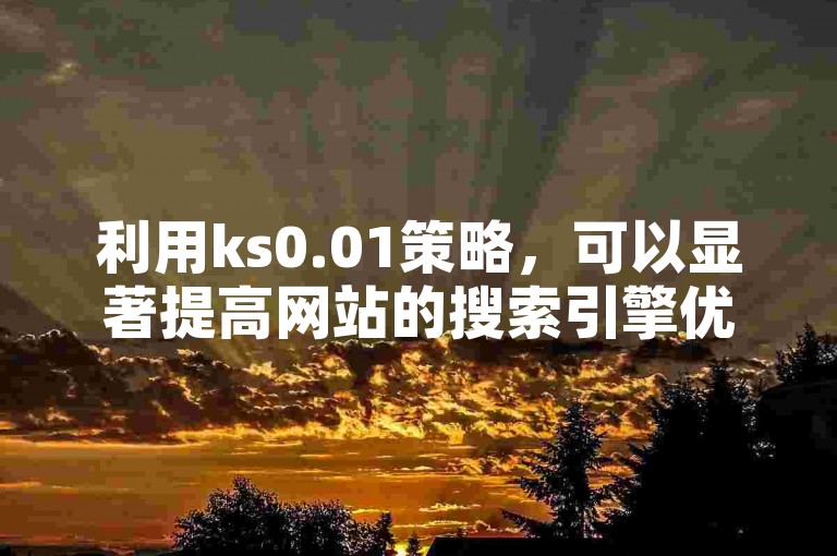 利用ks0.01策略，可以显著提高网站的搜索引擎优化效果。