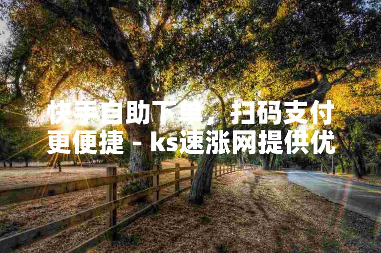 快手自助下单，扫码支付更便捷 - ks速涨网提供优惠价格。
