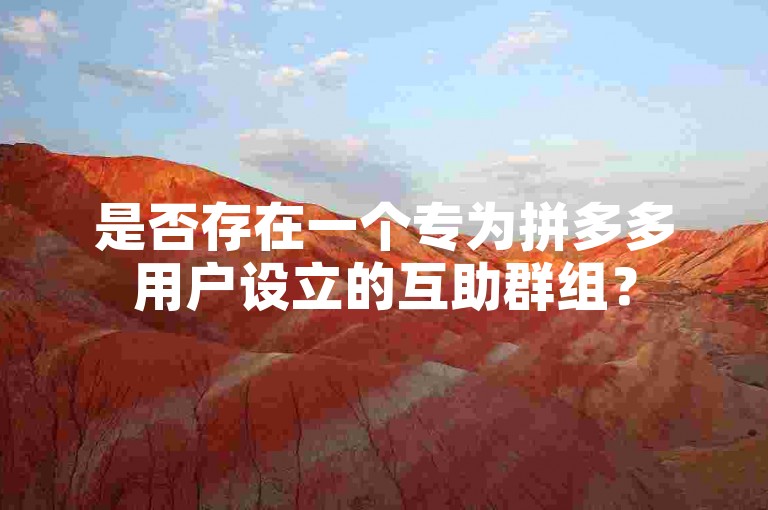 是否存在一个专为拼多多用户设立的互助群组？