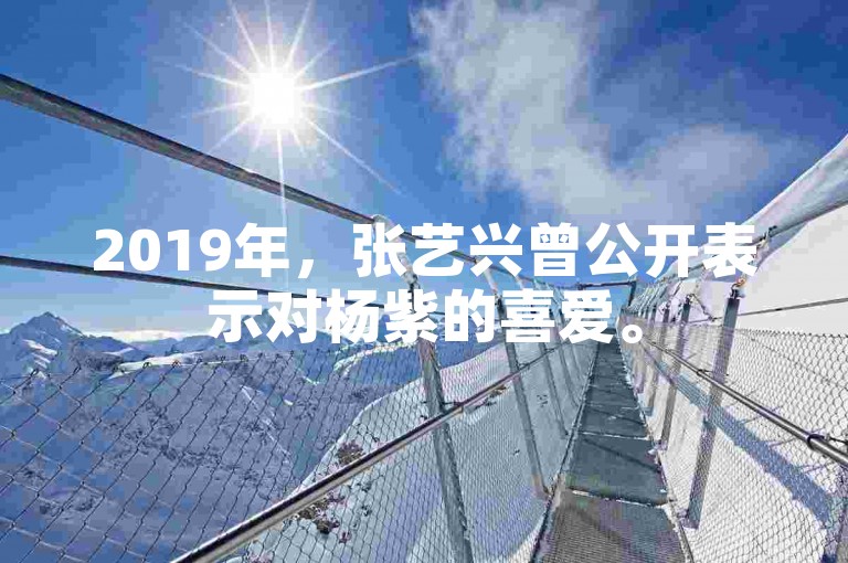 2019年，张艺兴曾公开表示对杨紫的喜爱。
