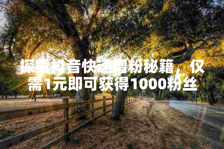 探索抖音快速增粉秘籍，仅需1元即可获得1000粉丝，通过彩虹云商城的充值服务实现。