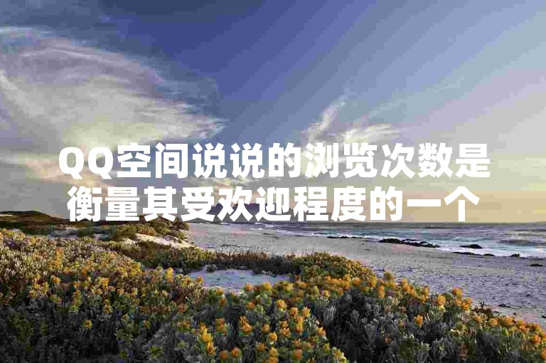 QQ空间说说的浏览次数是衡量其受欢迎程度的一个指标，通常显示为一个具体的数字。