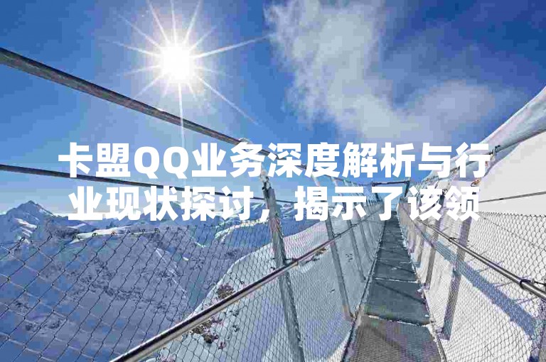 卡盟QQ业务深度解析与行业现状探讨，揭示了该领域面临的挑战和机遇。
