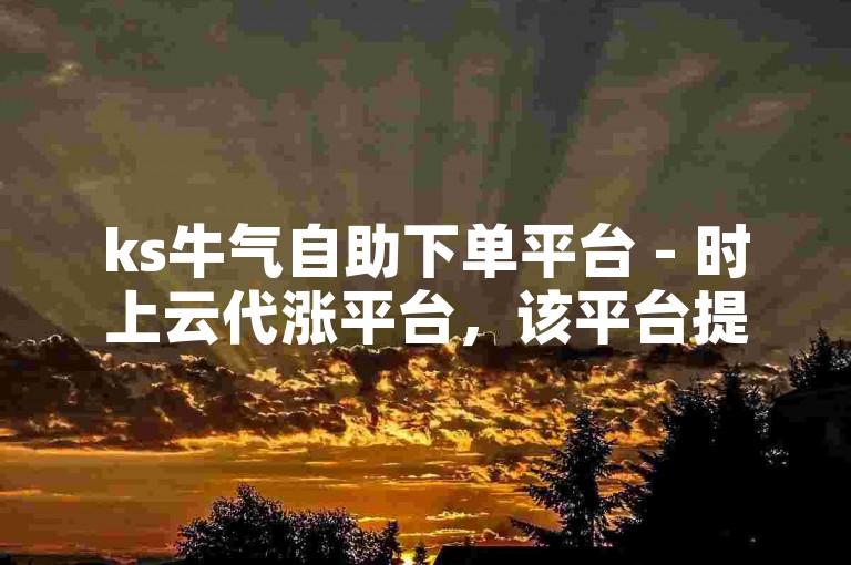 ks牛气自助下单平台 - 时上云代涨平台，该平台提供便捷的自助下单服务，满足用户多样化的代涨需求。