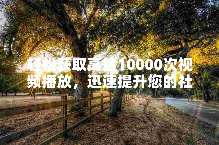 轻松获取高达10000次视频播放，迅速提升您的社交媒体影响力！强烈推荐高效SEO优化技巧！
