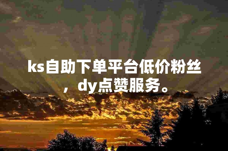 ks自助下单平台低价粉丝，dy点赞服务。