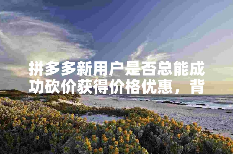 拼多多新用户是否总能成功砍价获得价格优惠，背后涉及的机制与多种影响因素值得深入探讨。