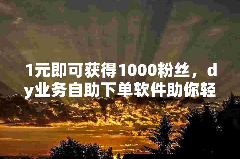 1元即可获得1000粉丝，dy业务自助下单软件助你轻松增粉。
