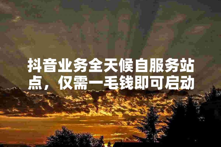 抖音业务全天候自服务站点，仅需一毛钱即可启动 - 探索蚂蚁自助下单平台网站。