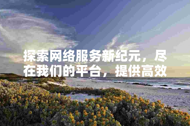 探索网络服务新纪元，尽在我们的平台，提供高效便捷的自助下单体验，确保你以全网最优价格快速达成目标。