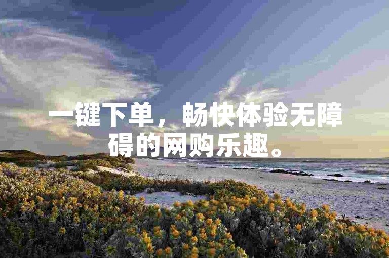 一键下单，畅快体验无障碍的网购乐趣。
