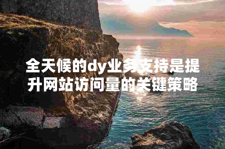 全天候的dy业务支持是提升网站访问量的关键策略，尤其适合初入行的新手使用。