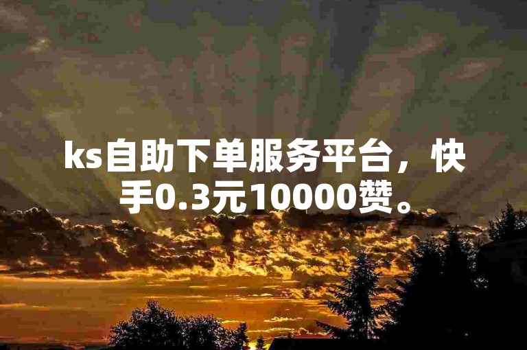 ks自助下单服务平台，快手0.3元10000赞。