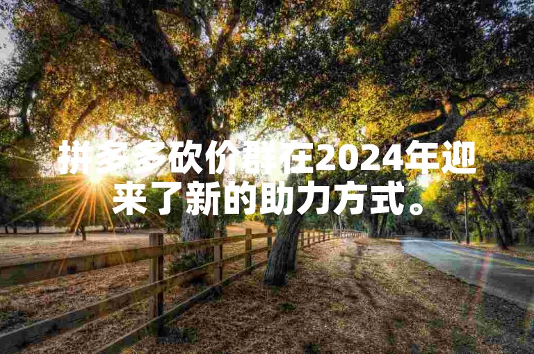 拼多多砍价群在2024年迎来了新的助力方式。