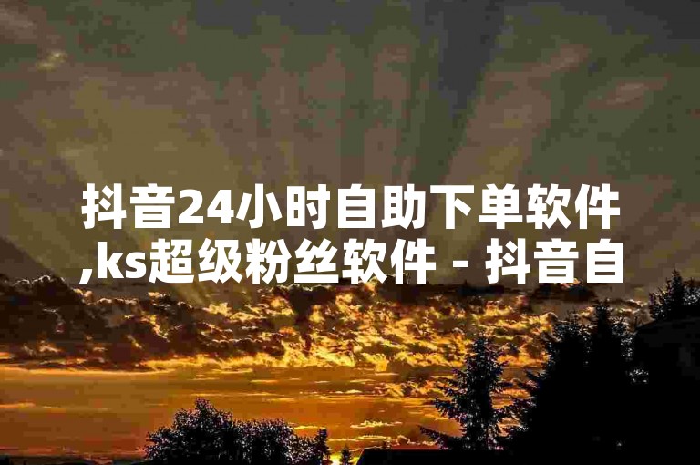 抖音24小时自助下单软件,ks超级粉丝软件 - 抖音自助点赞充值平台