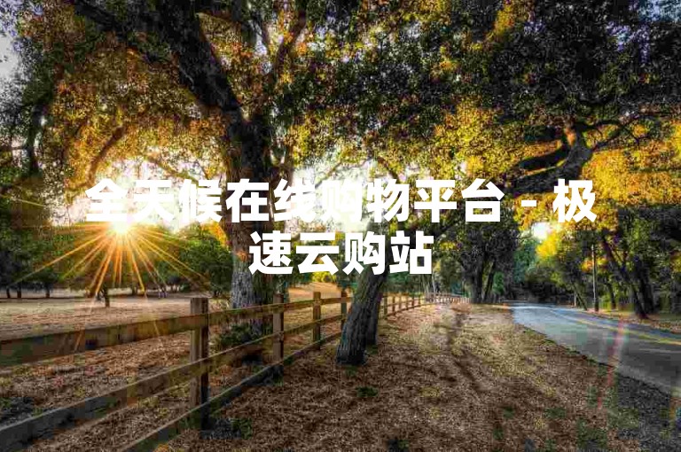 全天候在线购物平台 - 极速云购站