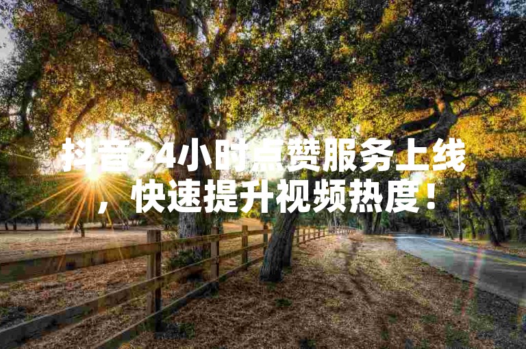 抖音24小时点赞服务上线，快速提升视频热度！
