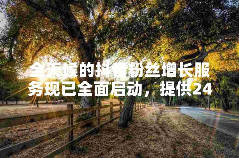 全天候的抖音粉丝增长服务现已全面启动，提供24小时不间断的支持与优化。