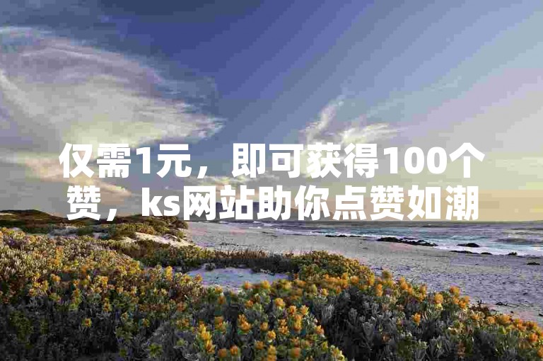 仅需1元，即可获得100个赞，ks网站助你点赞如潮。